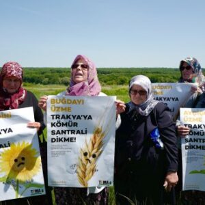 Çerkezköy Termik Santral Projesi’nin Çevre Düzeni Planı Değişikliği iptali için Dilekçe